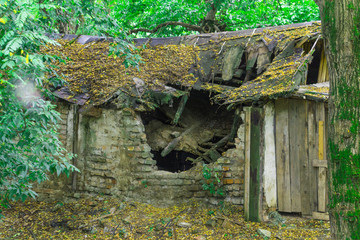 old ruined house in the forest
