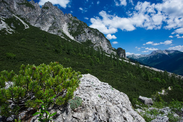 Panorama lungo la salita al Rifugio Pacherini da Forni di Sopra