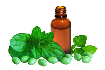 Pfefferminze und Melisse