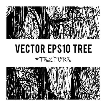 The vector silhouette of a tree for the background with natural foliage textures and eco grunge items for the creation of design banners, music cover, wallpapers,  flyers, websites.