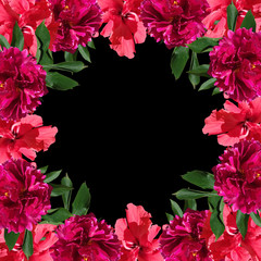 Beautiful floral background with peony and Chinese roses 