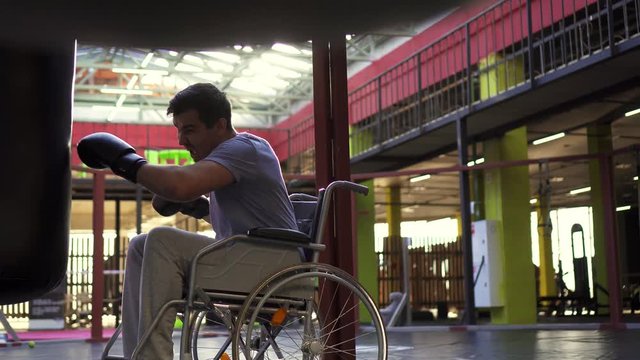 A man with a disability in a wheelchair beats a punching bag with gloves in the gym.