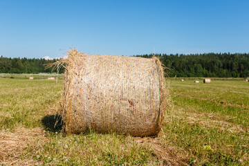 Closeup Hay bale. Haystack harvest field сountryside natural landscape. Agriculture field haystacks in a village or farm with sky. Rural nature in the farm land. Straw on the meadow. Harvesting.