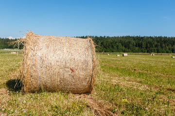 Closeup Hay bale. Haystack harvest field сountryside natural landscape. Agriculture field haystacks in a village or farm with sky. Rural nature in the farm land. Straw on the meadow. Harvesting.