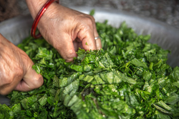 Woman hand cutting raw green vegetable on utencile