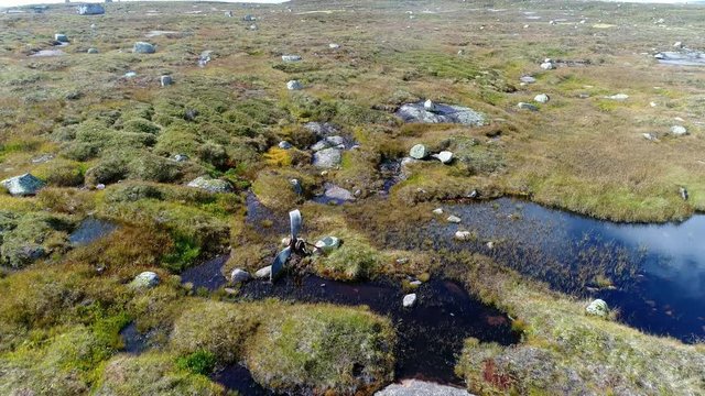 A UK WWII Bomber plane B-24 crashed on a mountain in southern Norway 1946, Reverse Fly over propellers