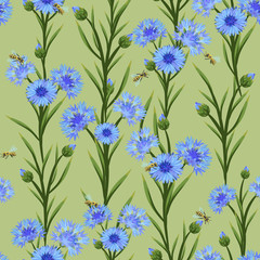 seamless pattern with cornflowers and bees