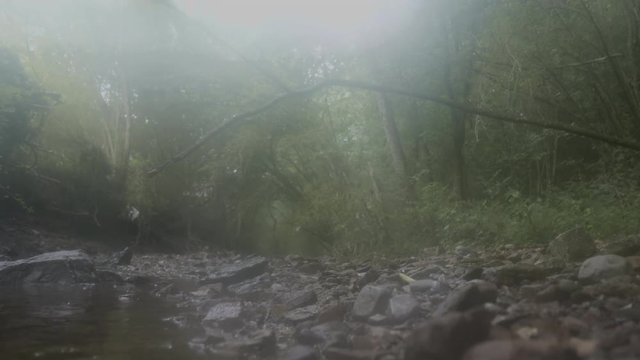Video of a running creek, brook or river.