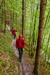 People hiking into the forest