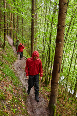 People hiking into the forest