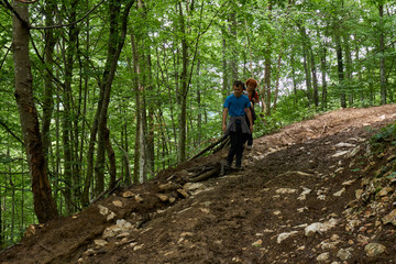 Naklejka premium People hiking into the forest