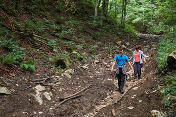 People hiking into the forest