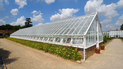 Obraz premium Historic restored Greenhouse with flowers .