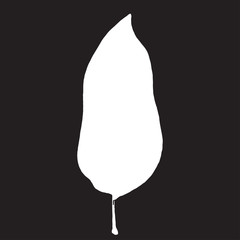 Tree leaf silhouette on black background. Laconic and stylish illustration. Monochrome vector.