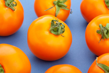 orange tomato