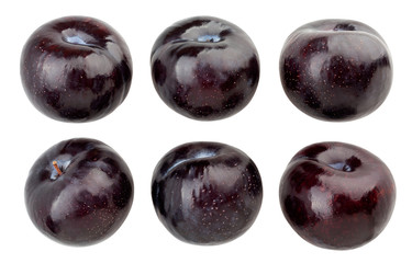 purple plum
