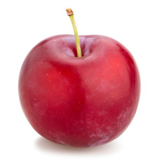 red plum