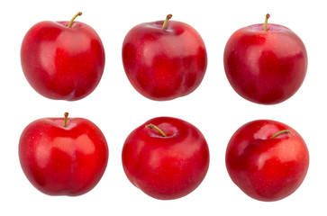 red plum