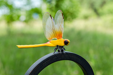 yellow dragonfly toy in the nature