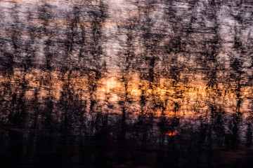 in the sunset of blurred trees, moving from the window of a moving train