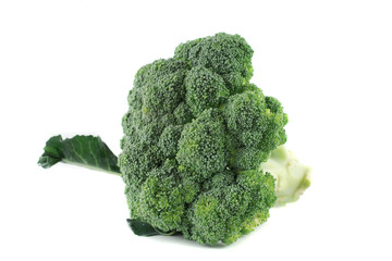 BROCCOLI TREE ISOLATED AGAINST WHITE BACKGROUND