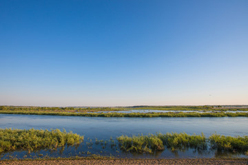 The branch of Volga river near Volgograd with bushes near the bank in the clear summer day