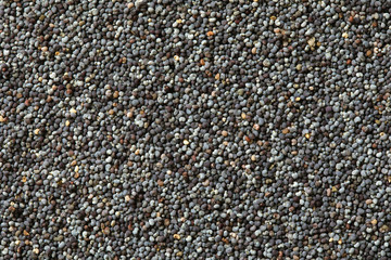 Poppy seeds spice background or texture. The macro shot is made by means of stacking technology