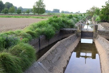 Fototapeta na wymiar Irrigation canal with lock (Zamora, Spain)