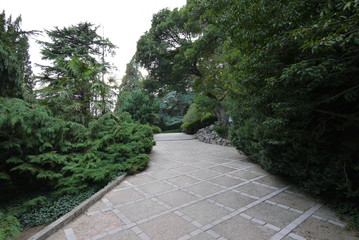 Stone-tiled walking park alley with green decorative plots and flowers on the sides
