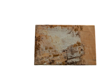 Wooden plate with fungus on the surface, Because of humidity On white background and isolated