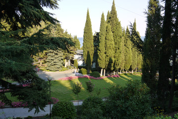 Beautiful view of the park with green lawn paths and slender tall rows of trees with sharp tops.