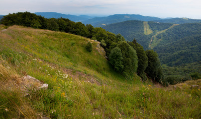 Fototapeta na wymiar Auf dem Gipfel des Ballon d'Alsace