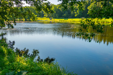 beautiful lake with grassy shores in the park. place for recreation and fishing