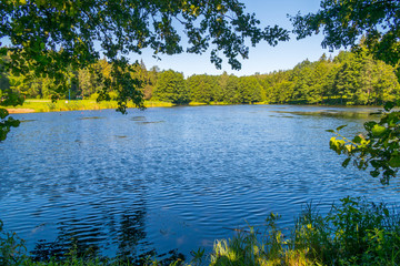 Fototapeta na wymiar A large blue clear lake against the background of tall green leafy trees in the summer sun