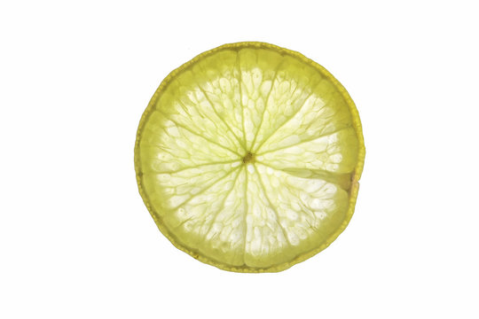 Flat lay Slice of lemon  isolated on a white background