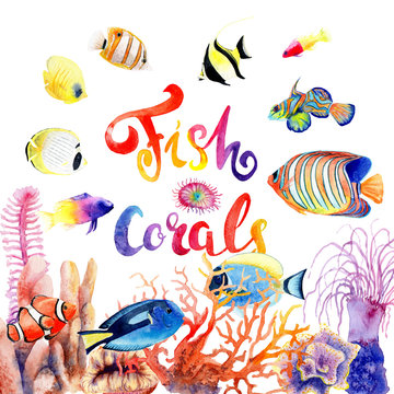 watercolor drawings of bright fish and corals