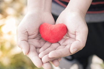 Hand holding a red heart shape. Give Love on Valentine's Day