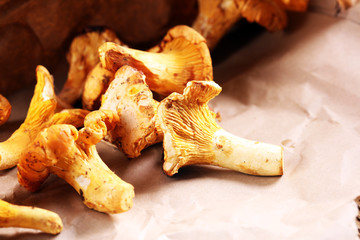 Mushrooms chanterelle on table. Raw wild mushrooms chanterelles. Composition with wild mushroom
