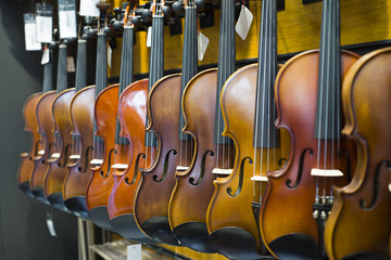 Violin aka fiddle in music store