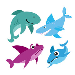 sharks vector collection design