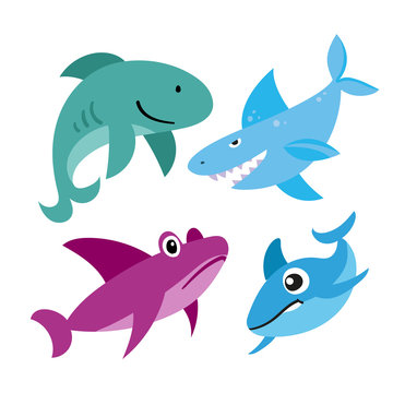 sharks vector collection design
