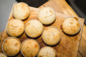 freshly baked muffin