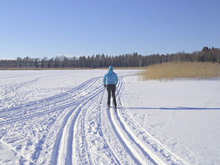 Cross country skier skiing on classical style track while bright winter sun shines.