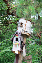 bird feeder, bird house, creativity, zoo, Novosibirsk, Russia