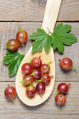 Gooseberry in wooden spoon top view