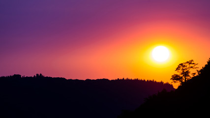 Beautiful purple sky before sunset over shadow tree on the hills wineries in evening.