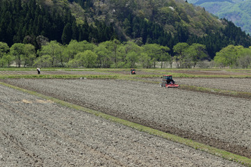 Naklejka premium 春の田起こし
