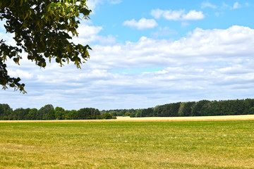 View over meadows and fields to a forest edge under a blue sky with white clouds