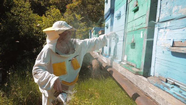 the beekeeper working in the apiary bees fly swarm multi colored beehive slow motion video. bee-maker beekeeper man working of a smoke pipe beeper lifestyle wooden hives smoker device for repelling