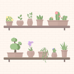 Vector illustration of plants in pots